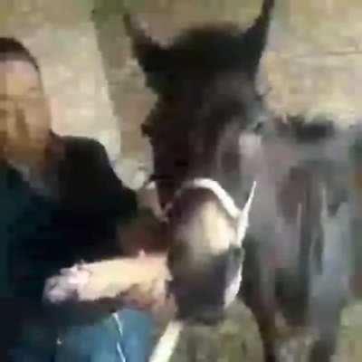 The industrial revolution