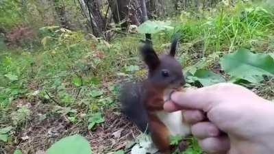 That boi stuck in time