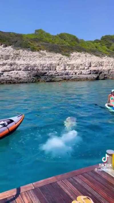 nandaisaia model body, perfect cupcake