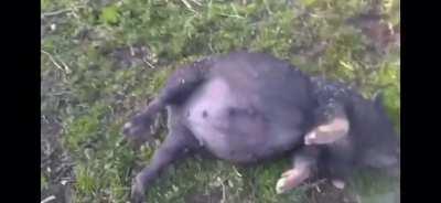 I almost didn’t watch til the end....