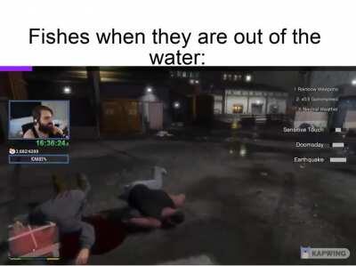 the fish is not having a good day