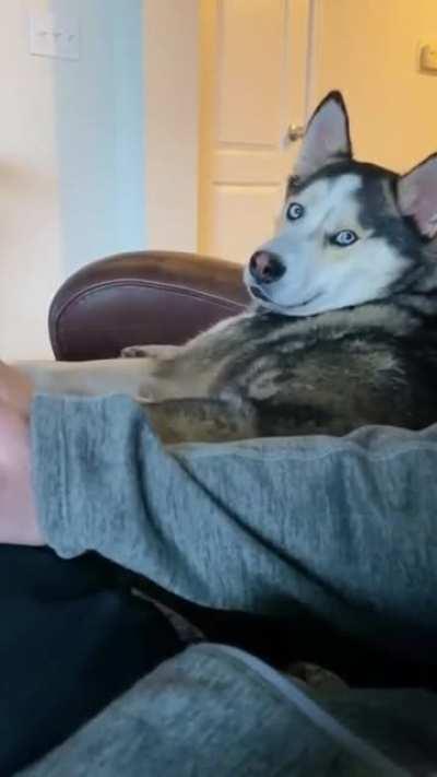 Э! Чеши давай!