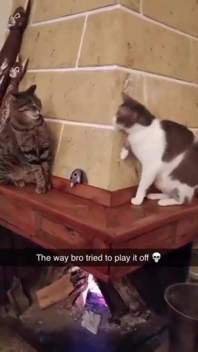 What? It wasn't  me.