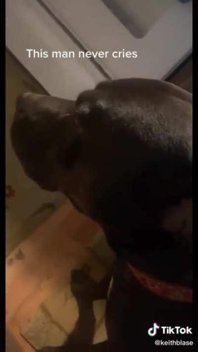 W Dog 🐶 Yb is the GOAT 🐐!