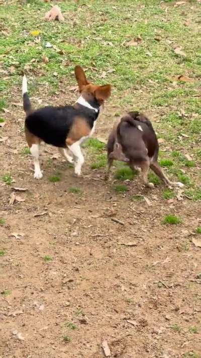 Playtime