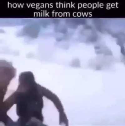 I say we should mass spread this to r/vgan