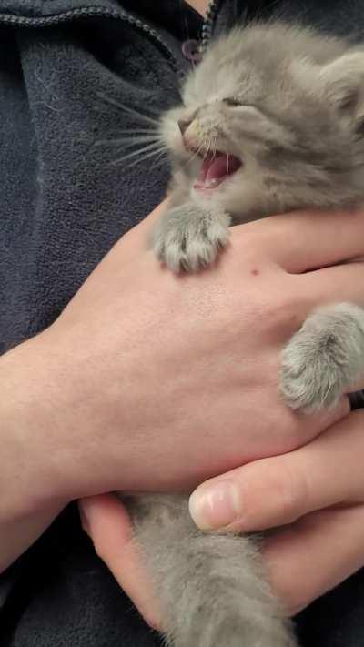 Look at this perfect baby