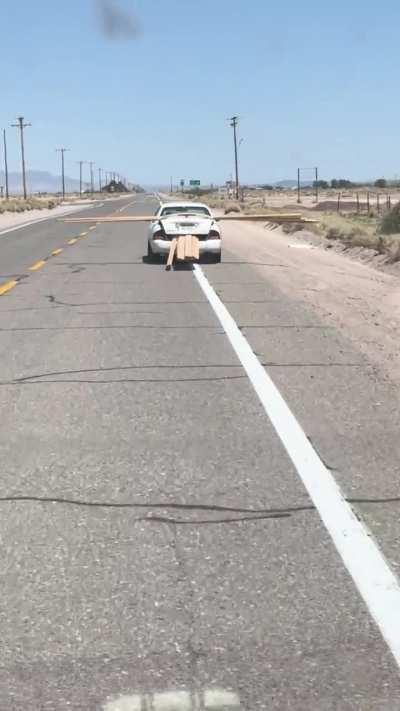 First time seeing one in the wild [oc]