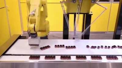 2 Robots perfectly sorting batteries