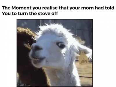 It’s because of your video games ~ MOM