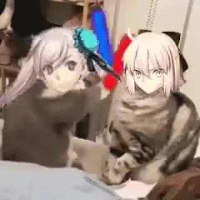 Musashi asserting her dominance