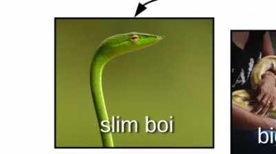 Snek