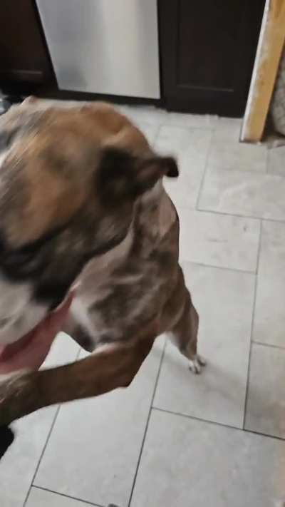 I'm not even sure who is petting who anymore