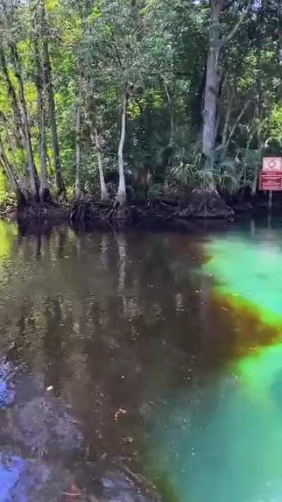 A place where two rivers meet in Florida