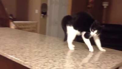 I've been scrolling on this sub for a while and didn't see this one, hope you enjoy it!