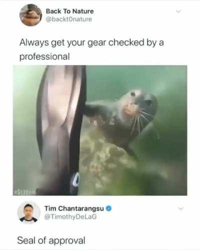 The seal of approval