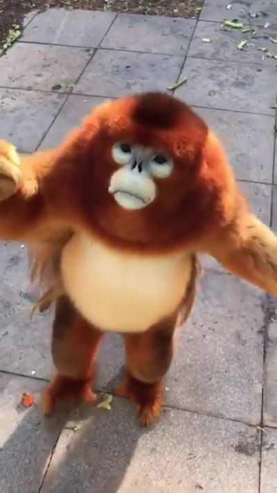 Craving for exciting culinary adventure awaits