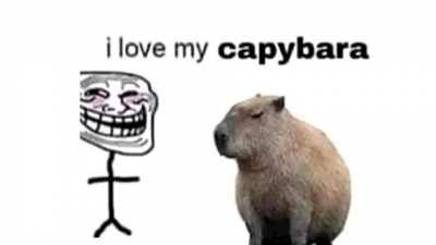 Capybara Esquizofrenico