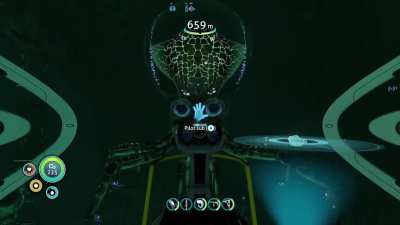 Why are they like this