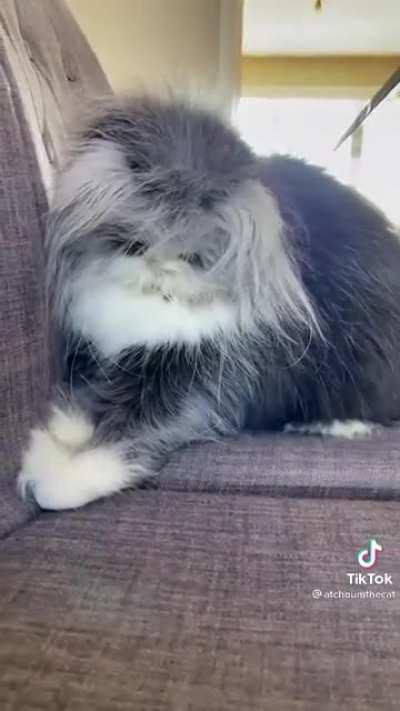 Greebles in the couch