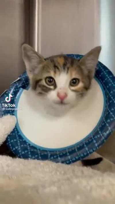 Summoning the fury of his forebears