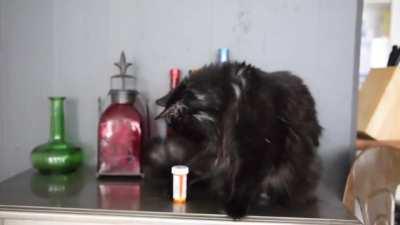 She even nods like a scientist affirming her hypothesis