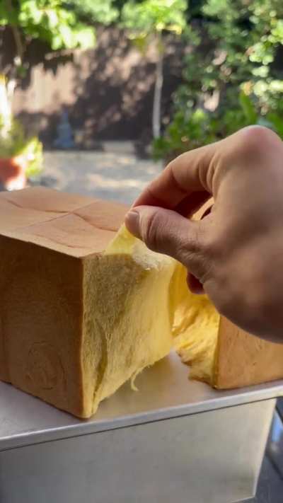 Pumpkin coconut milk bread