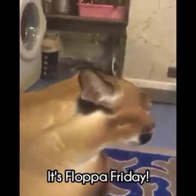 It's fucking floppa friday