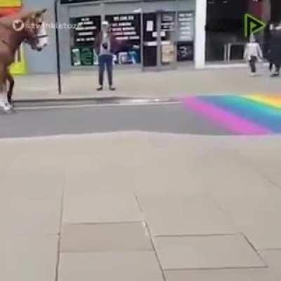 Juan 🐎🏳‍🌈🌈❌