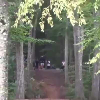 Frisbee golfer slips and falls but still manages to make a hole in one