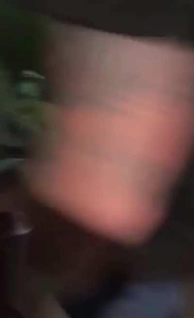 Please just watch this whole thing