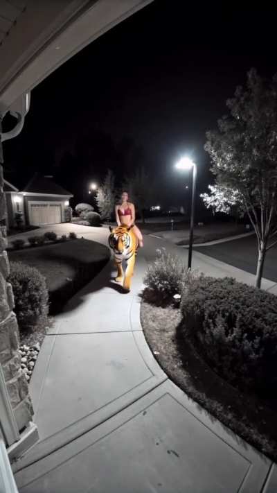 I have run out of Benadryl but cannot go out as a Fed in a bikini is riding a tiger outside my house. Help. Help. Help.