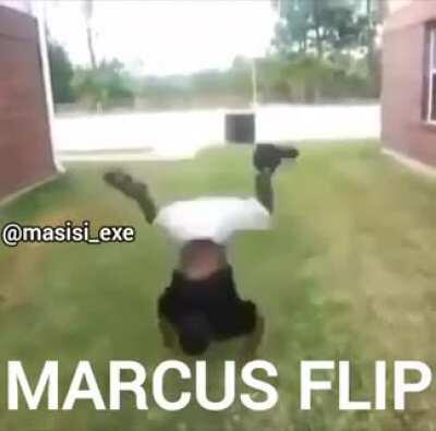 Evolución del monkiflip