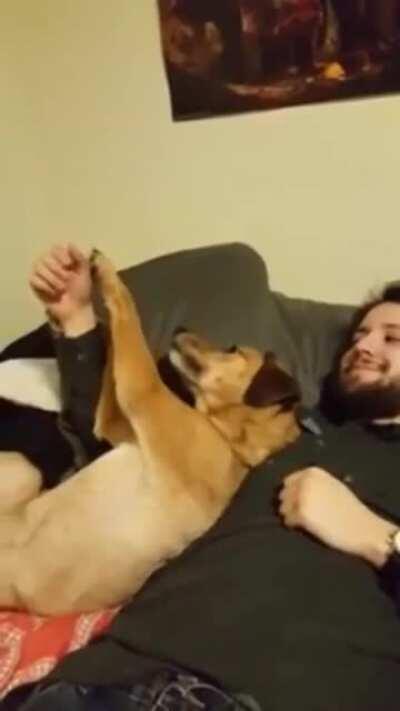 Yeah....so we're just gonna put that riiiiight back heeeere