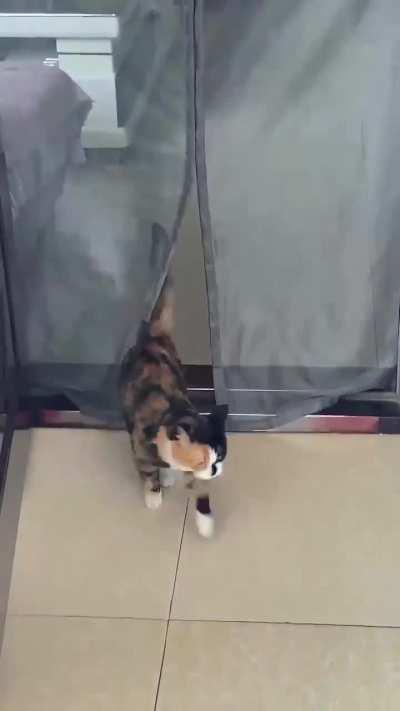 Aragorn showing up at Helm’s Deep