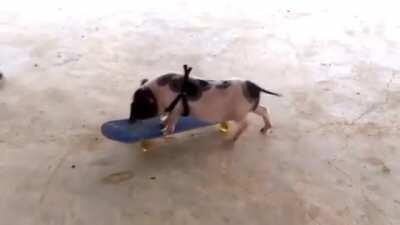 He was a pig. She was a girl. Can I make it any more obvious?