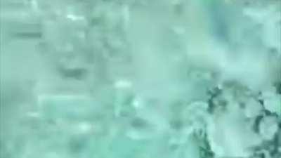 A few old videos, merged.