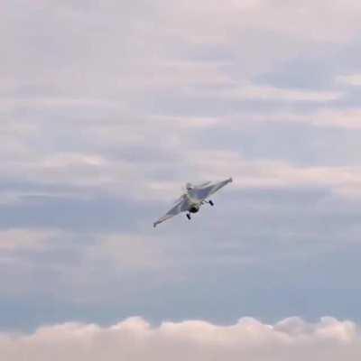 I have no clue how much one would cost.