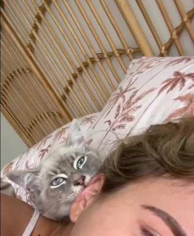 I can't tell if he's hungry or just expressing his love)