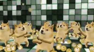 Me and the bois when DOGE reaches $420.69