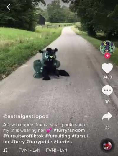 Looks like someone drove their furry out to a nice farm far away to dump it.