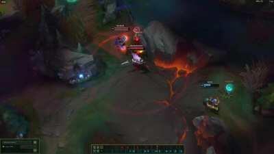 Little cat terrorizes the enemy team