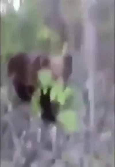 When you leave your brain at home