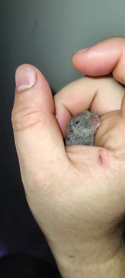 Why is she smiling? 💀