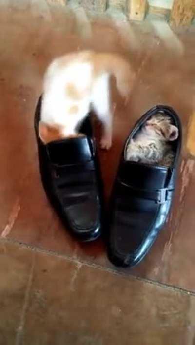 The suspense is killing me