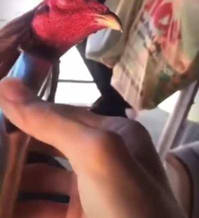 Thanks, I hate watching a dude shaving his cock.