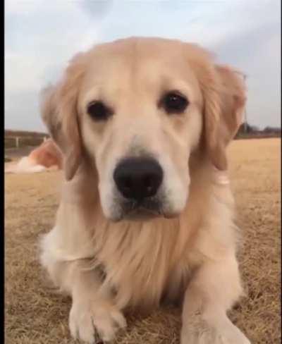 A smile brings us closer.