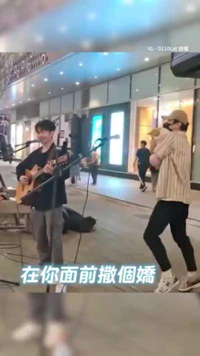 What do you think about this cat's performance?