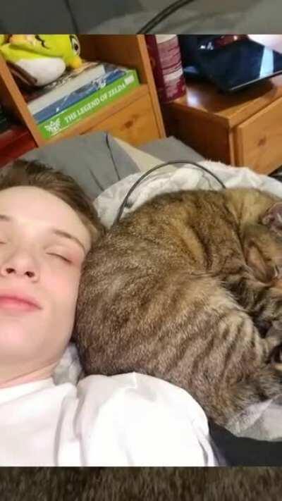 My phone mare this because it detected all the 