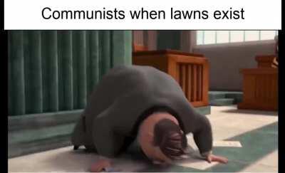 Opinions on being Anti-Lawn?